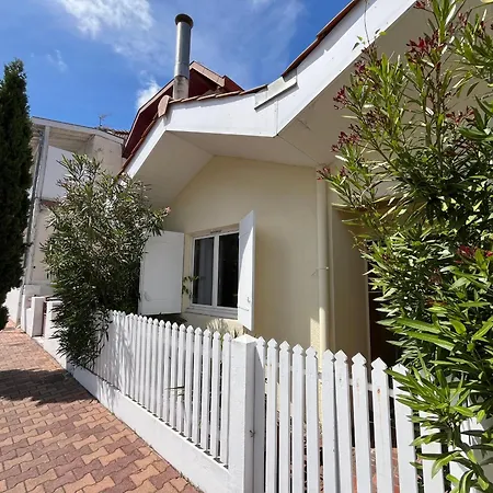 Holiday home Charmante Maisonnette T2 Bis A Arcachon, Proche Plage Et Centre, Avec Cour/prevu Pour 6 Pers. - Fr-1-319-564